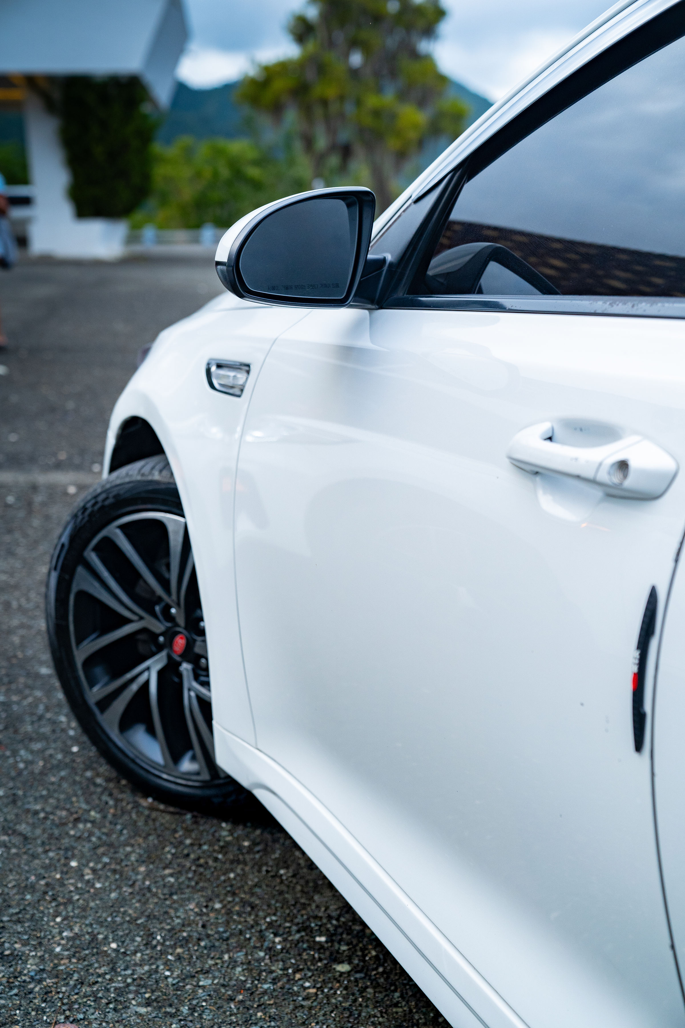 Vehículo 6